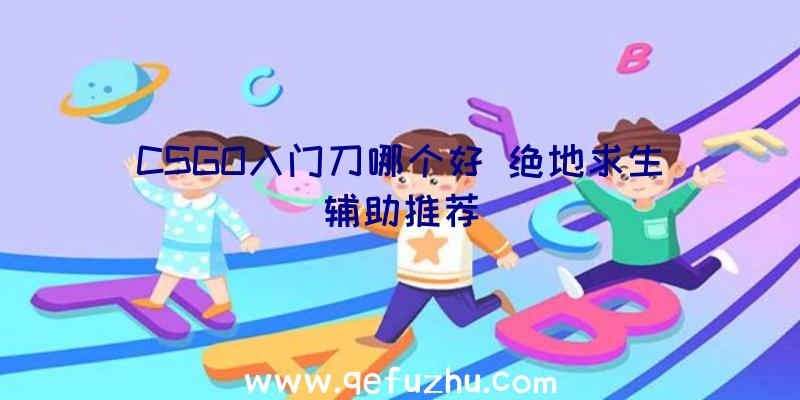 CSGO入门刀哪个好